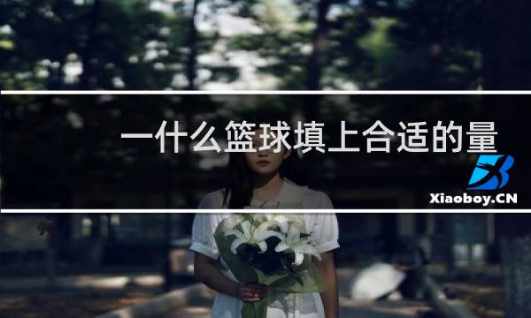 一什么篮球填上合适的量词图片