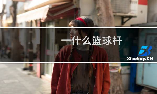 一什么篮球杆图片