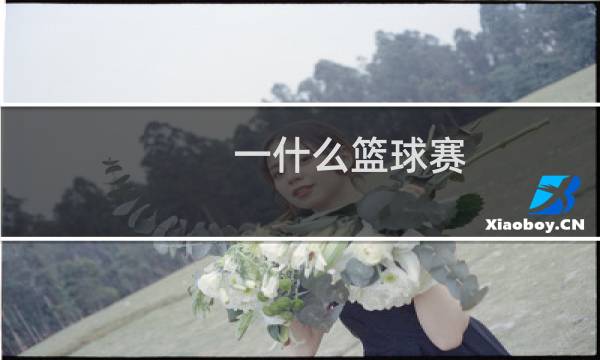 一什么篮球赛图片