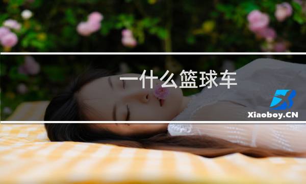一什么篮球车图片