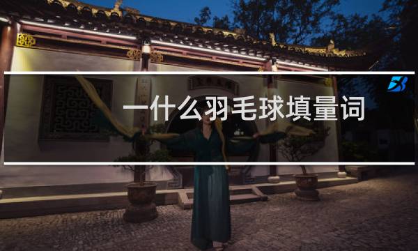 一什么羽毛球填量词图片