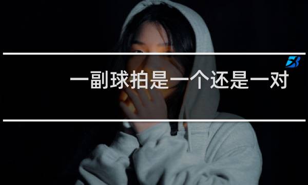 一副球拍是一个还是一对图片