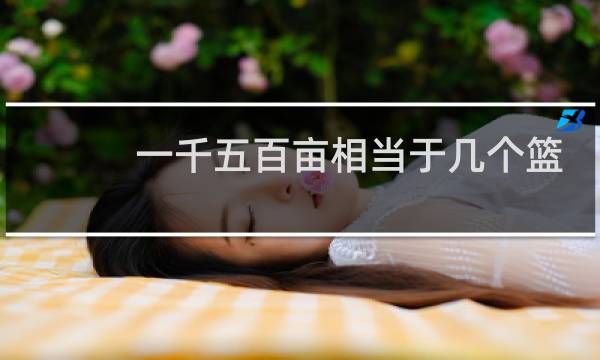 一千五百亩相当于几个篮球场图片