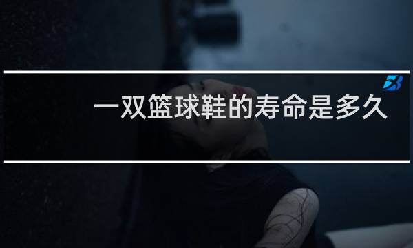 一双篮球鞋的寿命是多久图片