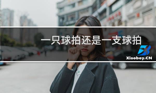 一只球拍还是一支球拍图片