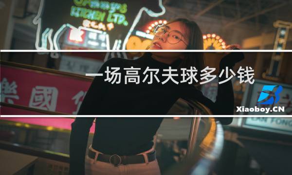 一场高尔夫球多少钱图片