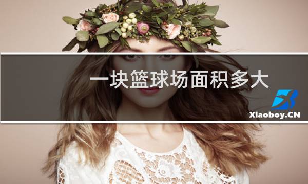 一块篮球场面积多大图片