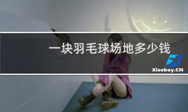 一块羽毛球场地多少钱图片