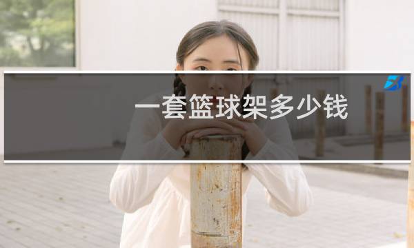 一套篮球架多少钱图片