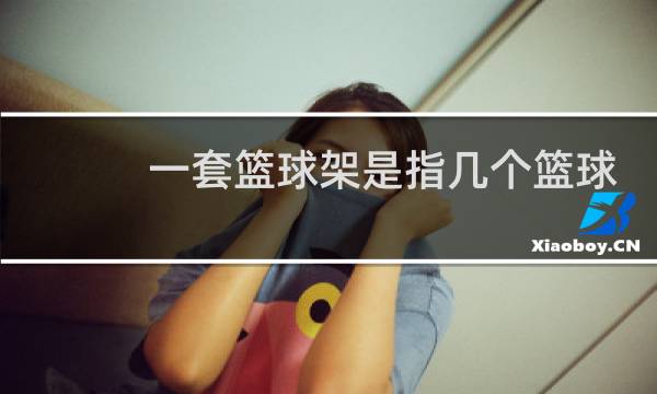 一套篮球架是指几个篮球架图片