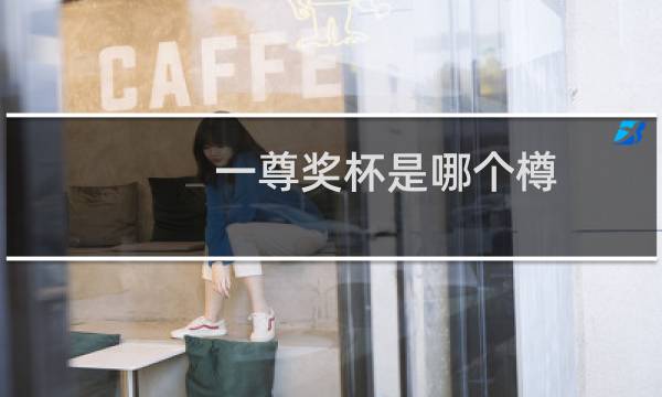 一尊奖杯是哪个樽图片