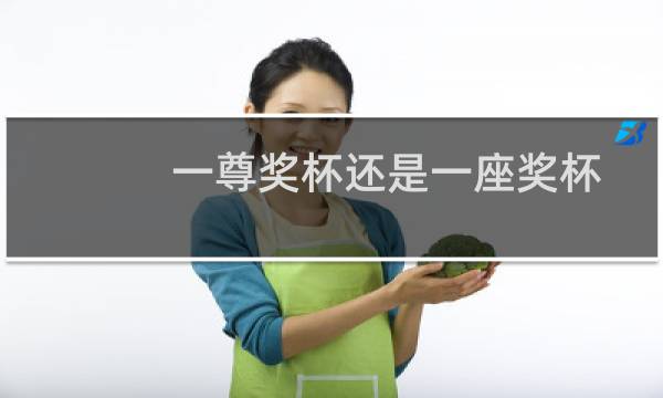 一尊奖杯还是一座奖杯图片