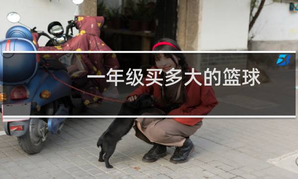 一年级买多大的篮球图片