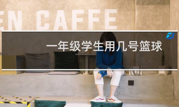 一年级学生用几号篮球图片