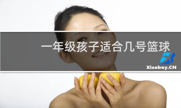 一年级孩子适合几号篮球图片