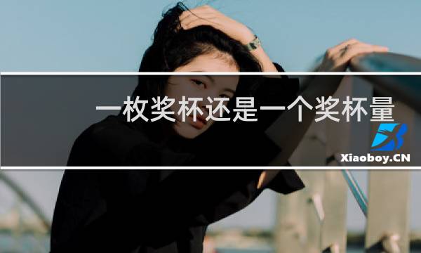一枚奖杯还是一个奖杯量词图片