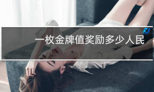 一枚金牌值奖励多少人民币图片