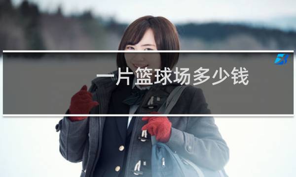 一片篮球场多少钱图片