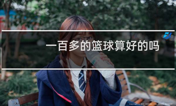 一百多的篮球算好的吗图片