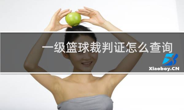 一级篮球裁判证怎么查询图片