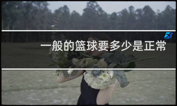 一般的篮球要多少是正常的图片
