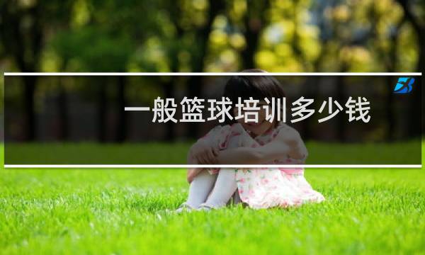 一般篮球培训多少钱图片
