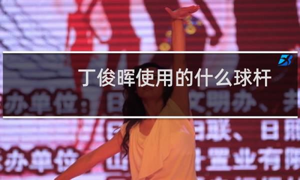 丁俊晖使用的什么球杆图片