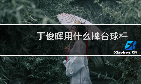 丁俊晖用什么牌台球杆图片