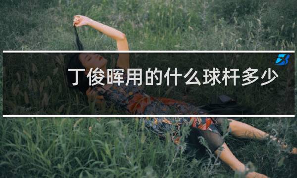 丁俊晖用的什么球杆多少钱图片