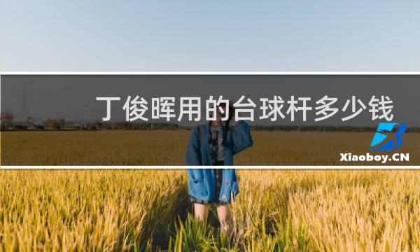 丁俊晖用的台球杆多少钱图片
