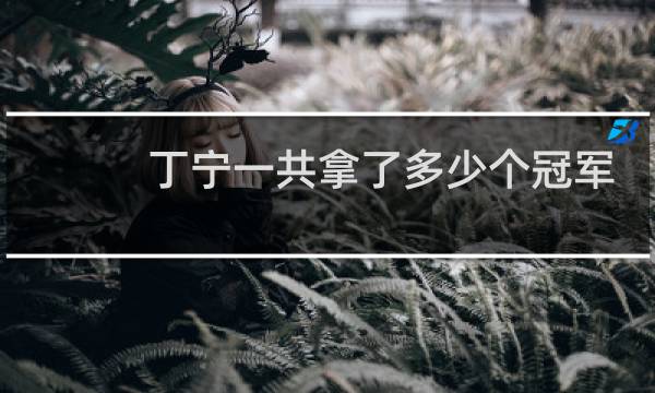 丁宁一共拿了多少个冠军图片