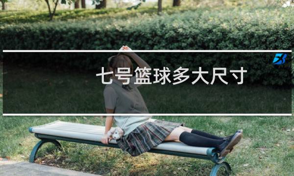 七号篮球多大尺寸图片
