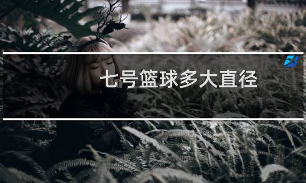 七号篮球多大直径图片