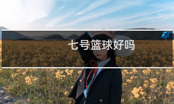 七号篮球好吗图片