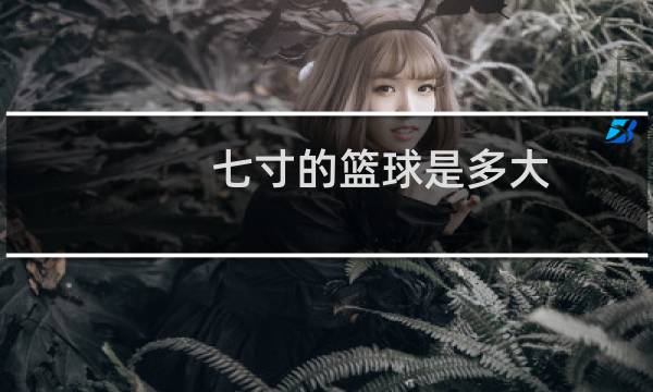 七寸的篮球是多大图片