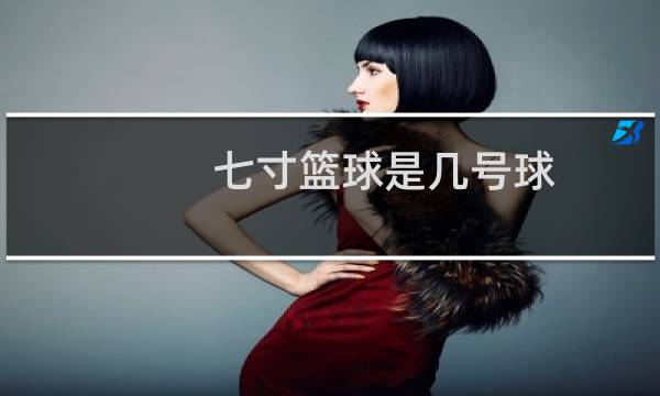 七寸篮球是几号球图片
