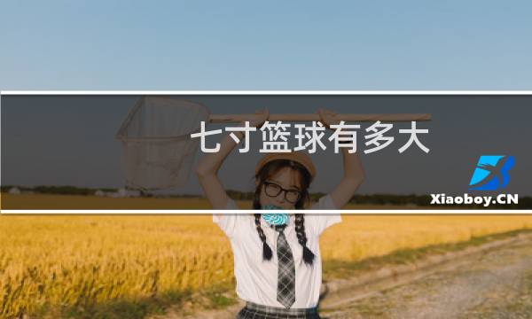 七寸篮球有多大图片