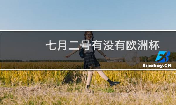 七月二号有没有欧洲杯图片