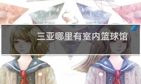 三亚哪里有室内篮球馆图片