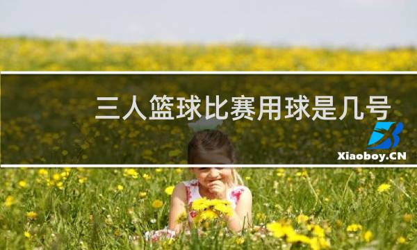 三人篮球比赛用球是几号球图片