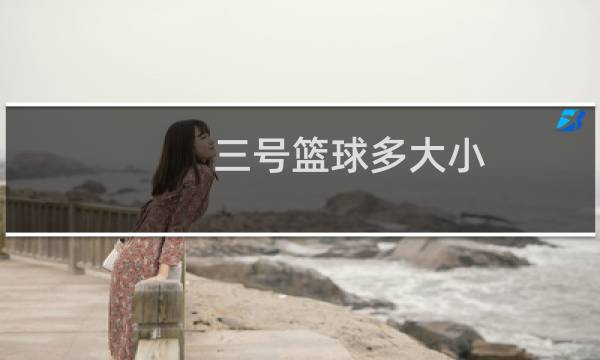 三号篮球多大小图片