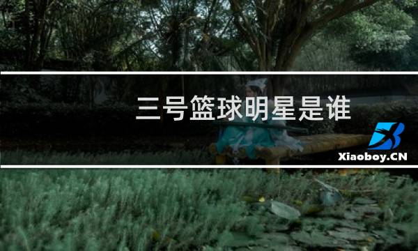 三号篮球明星是谁图片