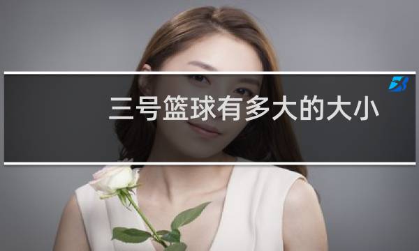 三号篮球有多大的大小图片