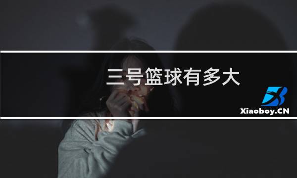 三号篮球有多大图片