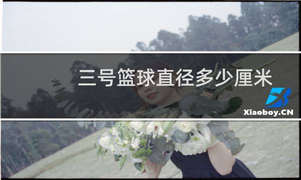 三号篮球直径多少厘米图片