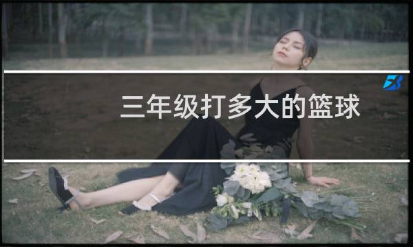 三年级打多大的篮球图片