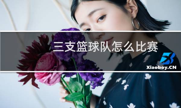 三支篮球队怎么比赛图片