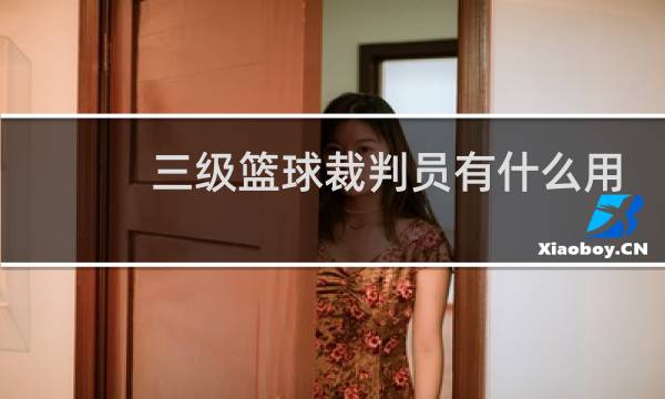 三级篮球裁判员有什么用图片