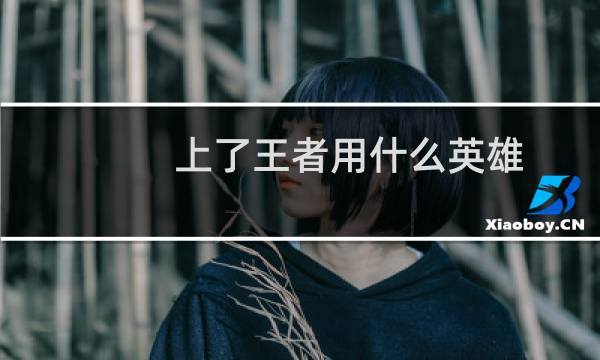 上了王者用什么英雄图片
