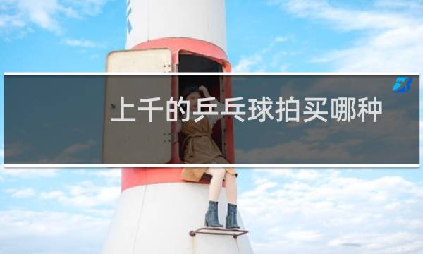 上千的乒乓球拍买哪种图片